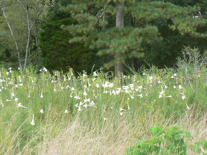 053-Leaving the dam.JPG